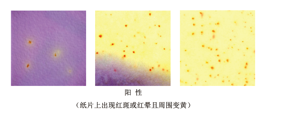 餐具大腸菌群檢測(cè)紙片 餐具大腸菌群檢測(cè)紙片