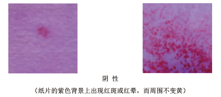 餐具大腸菌群檢測(cè)紙片 餐具大腸菌群檢測(cè)紙片