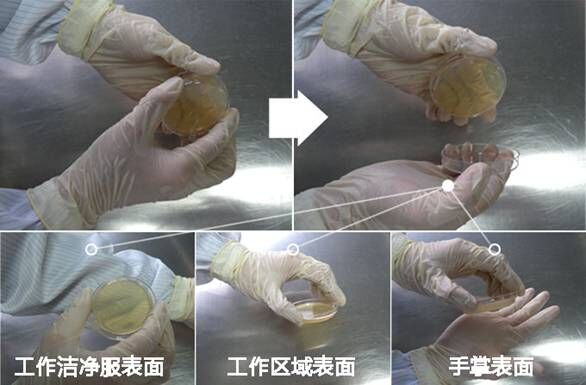 沉降皿使用 沉降皿使用