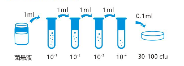 定量菌株 定量菌株