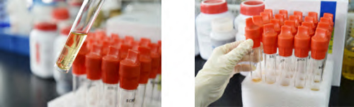 管狀培養(yǎng)基 管狀培養(yǎng)基