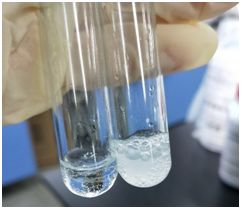 鏈激酶試驗(yàn) 鏈激酶試驗(yàn)