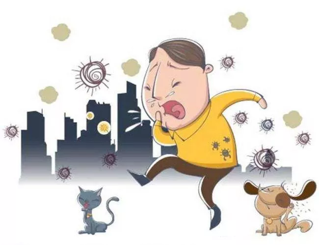 溶血性鏈球菌 溶血性鏈球菌