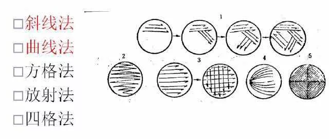 微生物檢測 微生物檢測