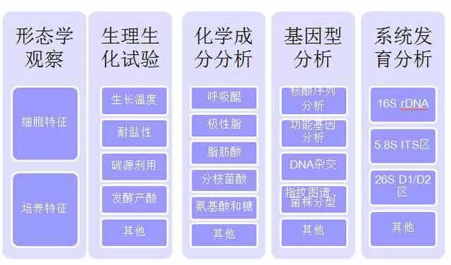 微生物鑒定 微生物鑒定
