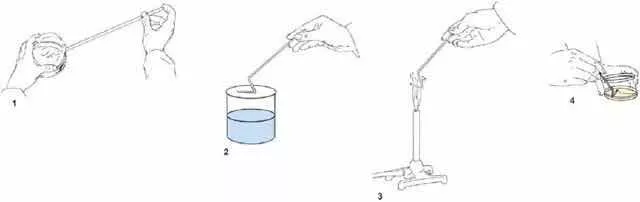 微生物檢測 微生物檢測