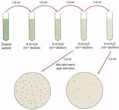 微生物檢測 微生物檢測