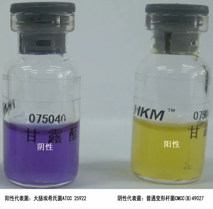 甘露醇發(fā)酵試驗(yàn) 甘露醇發(fā)酵試驗(yàn)