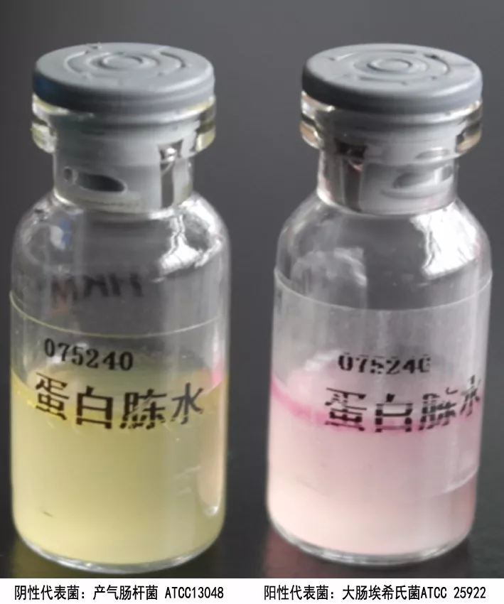 靛基質(zhì)(吲哚)試驗(yàn) 靛基質(zhì)(吲哚)試驗(yàn)