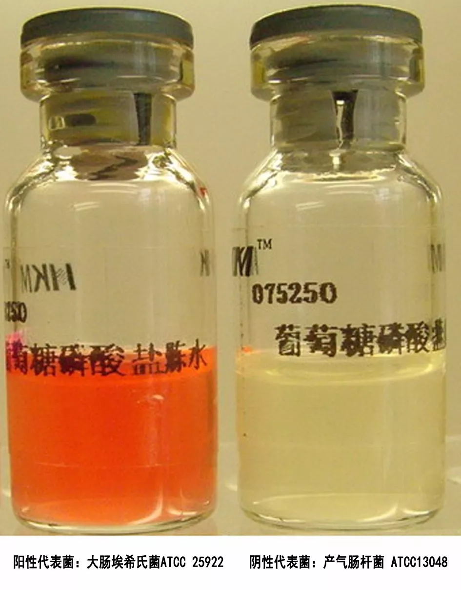 MR試驗(yàn) MR試驗(yàn)