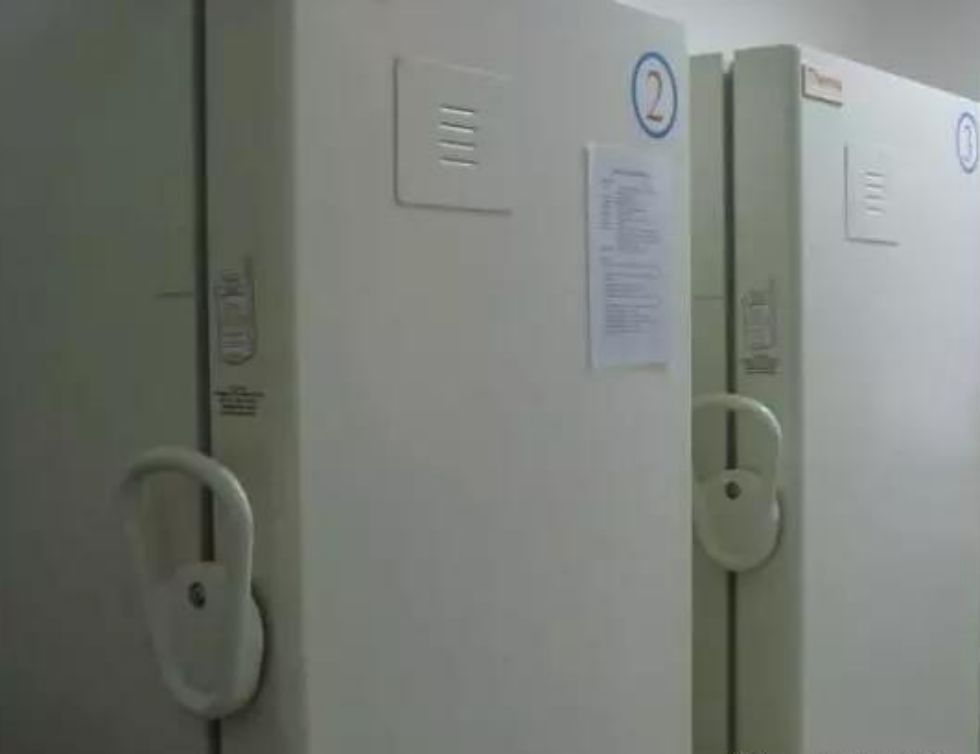 菌株保藏 菌株保藏