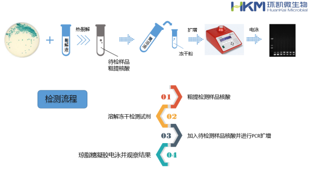 環(huán)凱微生物快檢試劑盒操作示意圖 環(huán)凱微生物快檢試劑盒操作示意圖