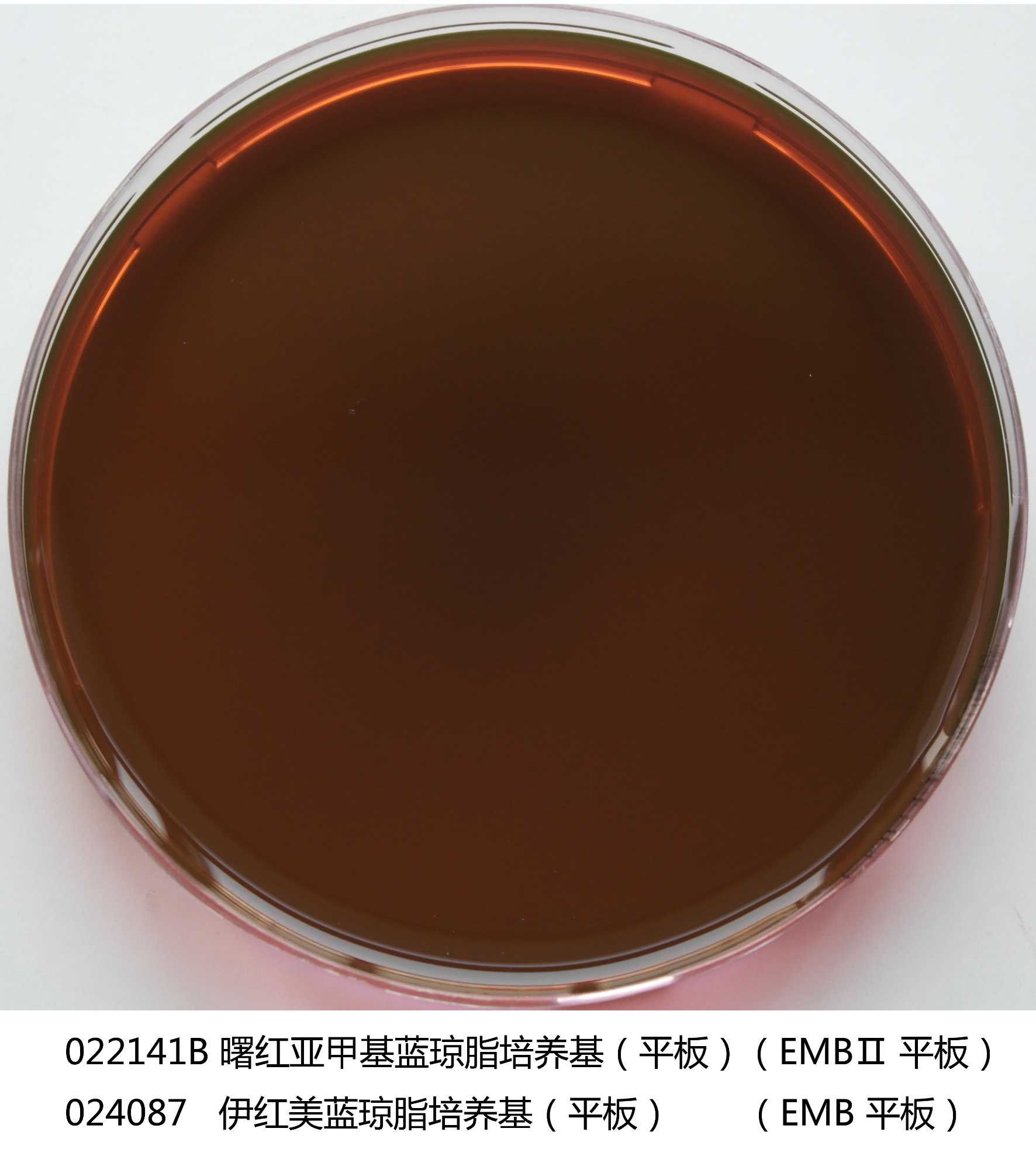 伊紅美藍(lán)瓊脂(EMB)平板 伊紅美藍(lán)瓊脂(EMB)平板
