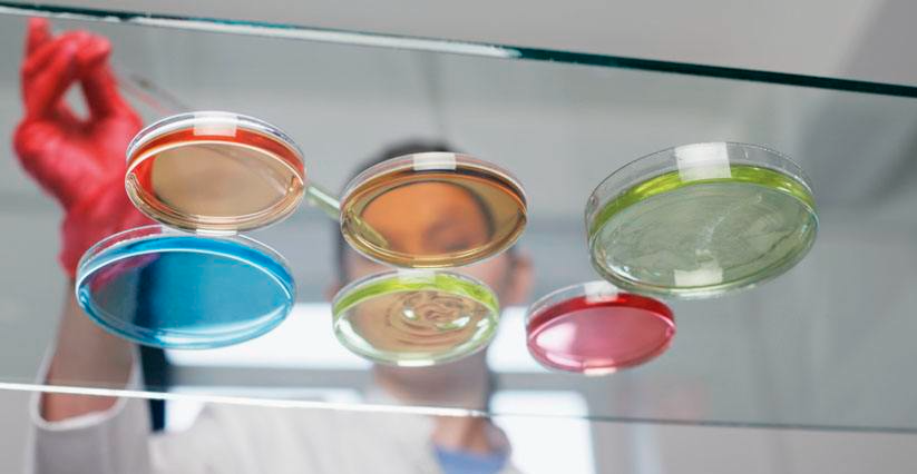 微生物培養(yǎng)基成分