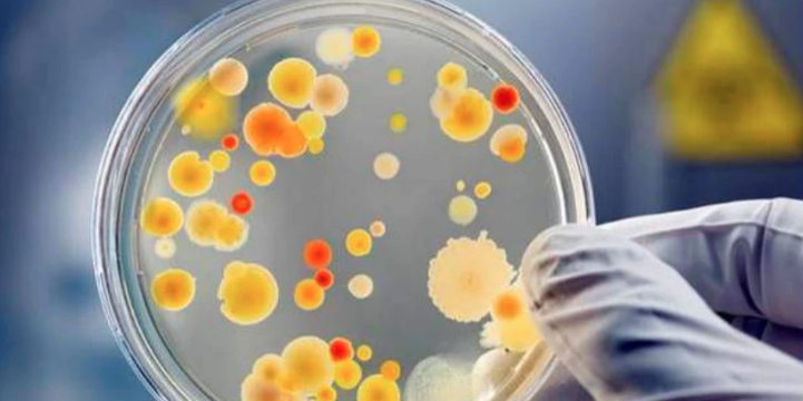 微生物培養(yǎng)基生長因子