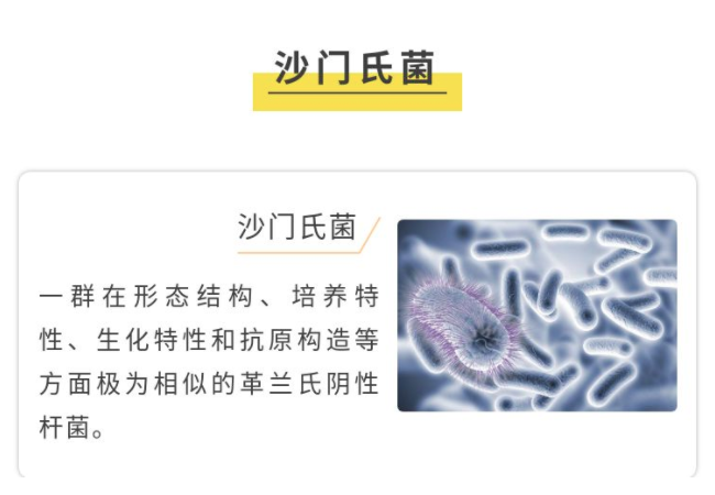 沙門氏菌 沙門氏菌