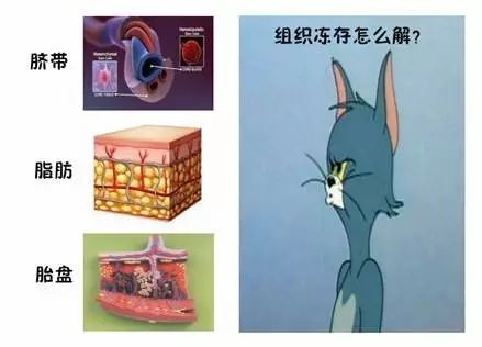 組織凍存怎么解