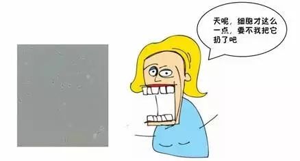 細胞復(fù)蘇無起色