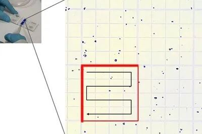 細胞自動計數器