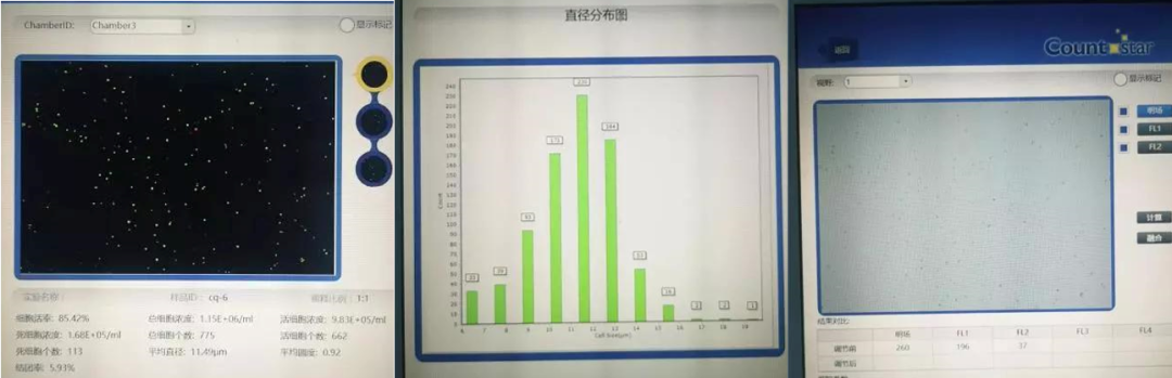 乳腺組織細(xì)胞懸液制備結(jié)果