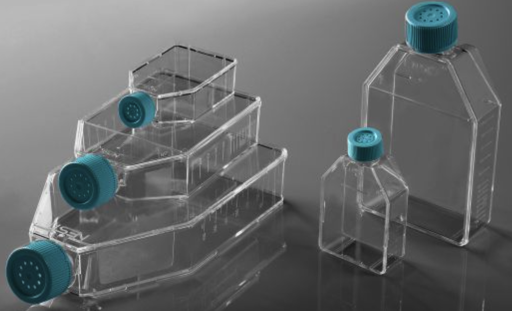 細(xì)胞培養(yǎng)瓶