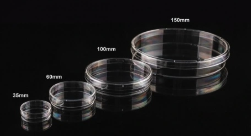 細(xì)胞培養(yǎng)皿