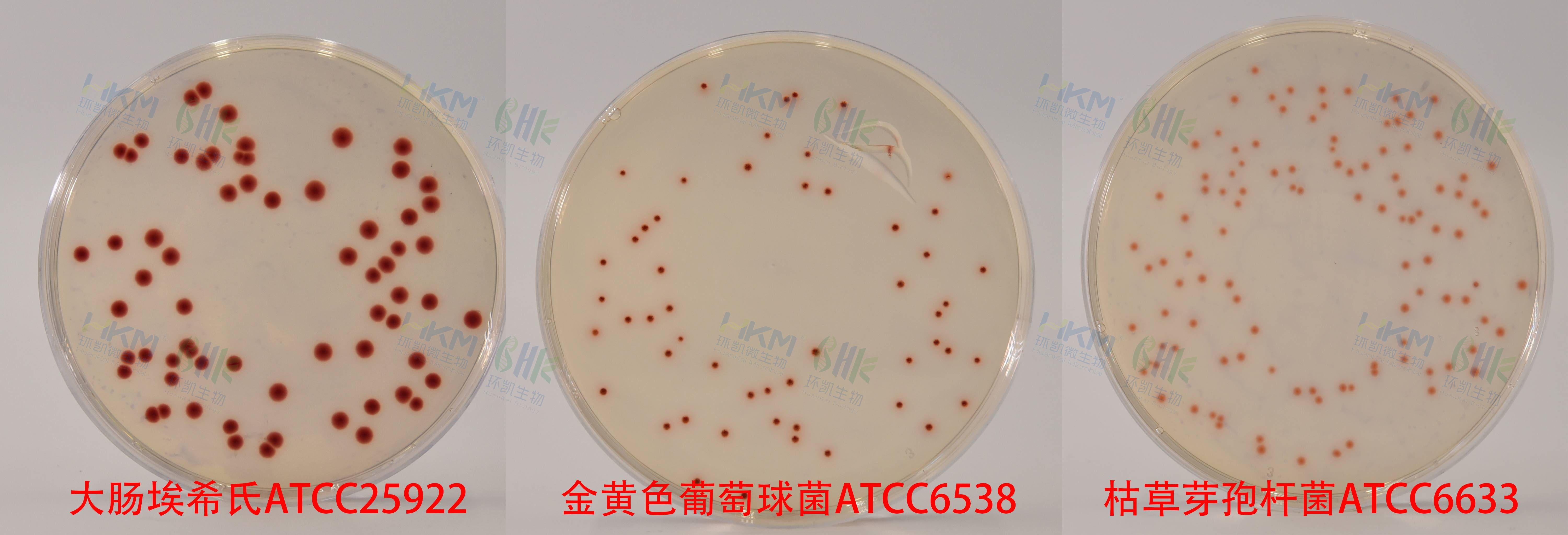 027020 卵磷脂吐溫80營(yíng)養(yǎng)瓊脂培養(yǎng)基 質(zhì)量控制 027020 卵磷脂吐溫80營(yíng)養(yǎng)瓊脂培養(yǎng)基 質(zhì)量控制