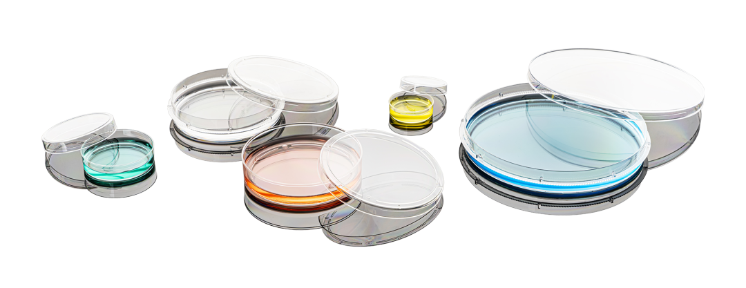 細(xì)胞培養(yǎng)皿