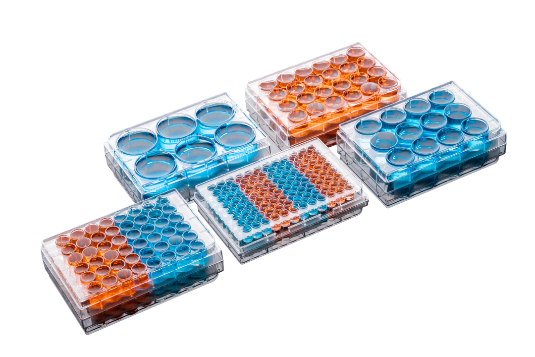 細(xì)胞培養(yǎng)板