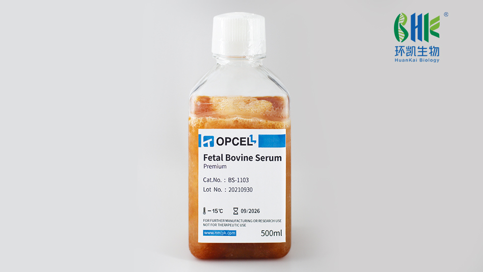 環(huán)凱胎牛血清