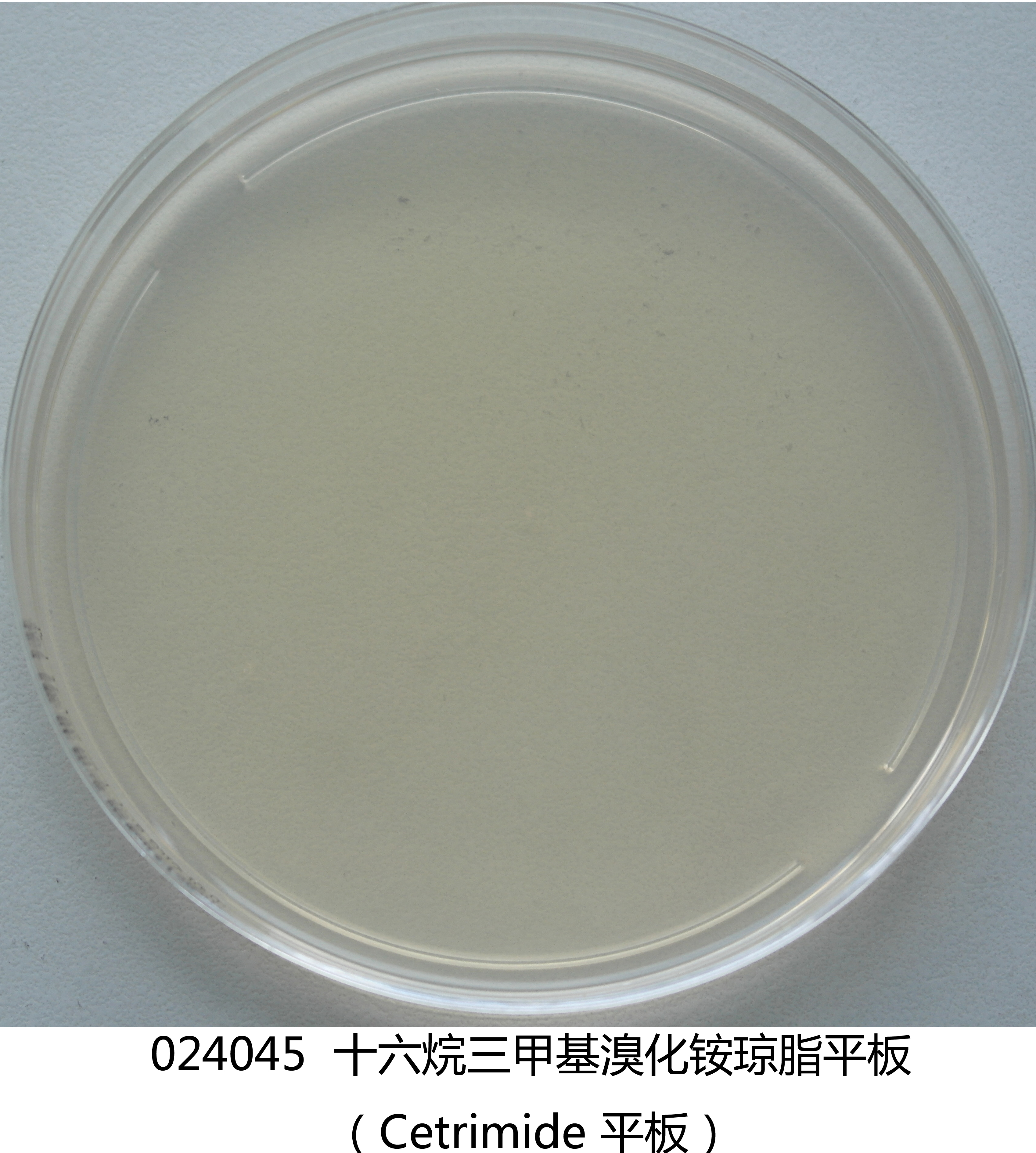 十六烷三甲基溴化銨培養(yǎng)基平板 十六烷三甲基溴化銨培養(yǎng)基平板