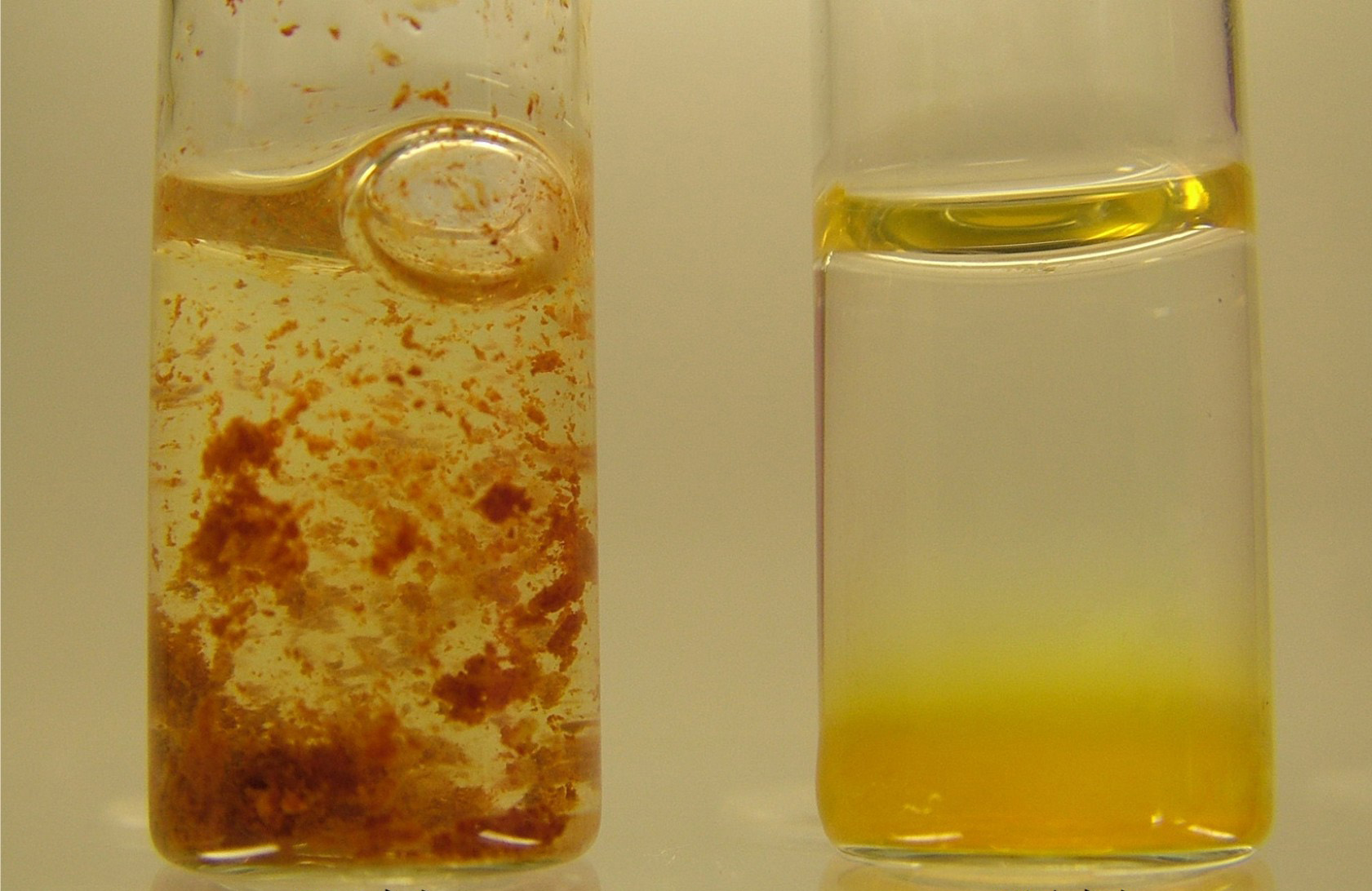 銅綠假單胞菌ATCC9027 銅綠假單胞菌ATCC9027