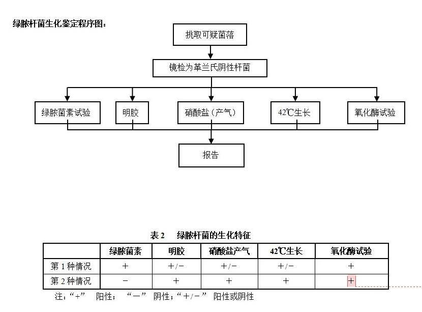 綠膿桿菌生化鑒定程序圖 綠膿桿菌生化鑒定程序圖