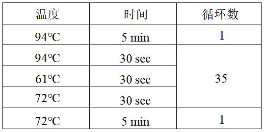 克羅諾桿菌 PCR 檢測(cè)試劑盒反應(yīng)程序