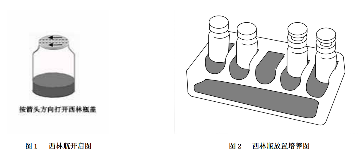 西林瓶使用方法 西林瓶使用方法