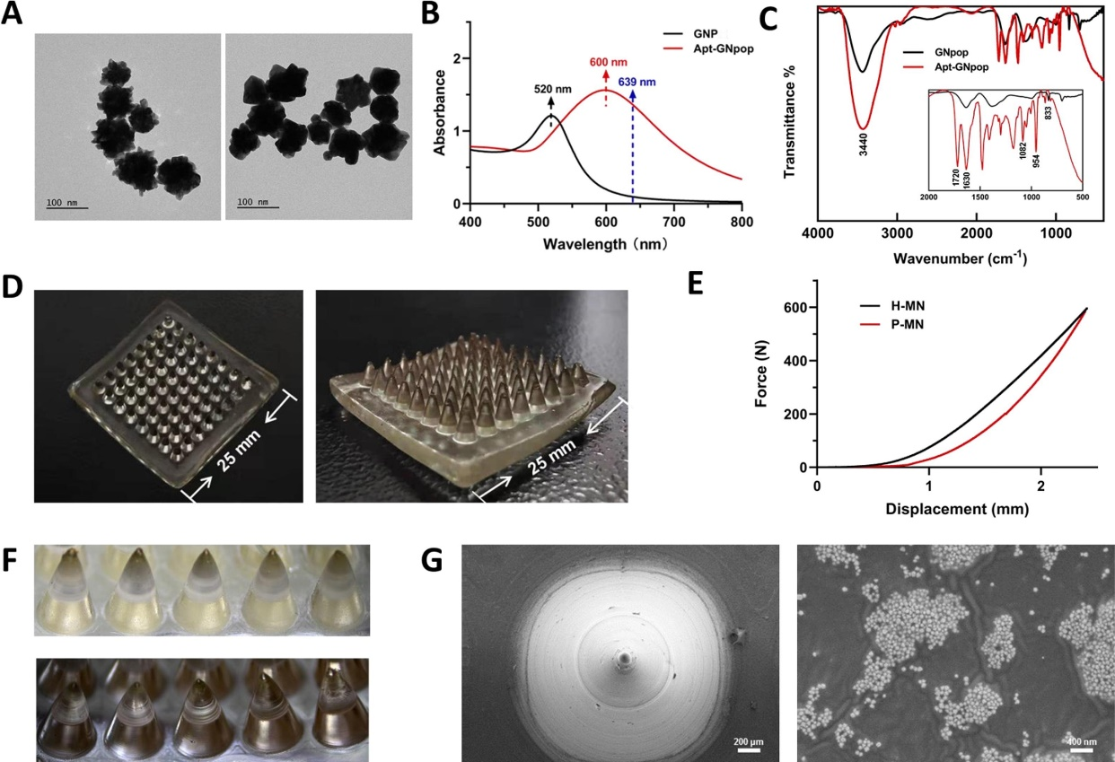 等離子體微針(MN)陣列貼片的合成和表征