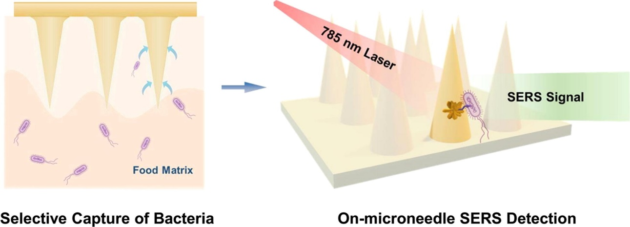 等離子體微針(MN)陣列貼片檢測原理圖
