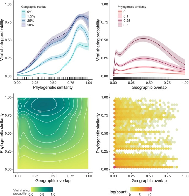 病毒跨物種傳播的地理結(jié)構(gòu)預(yù)測(cè) 病毒跨物種傳播的地理結(jié)構(gòu)預(yù)測(cè)