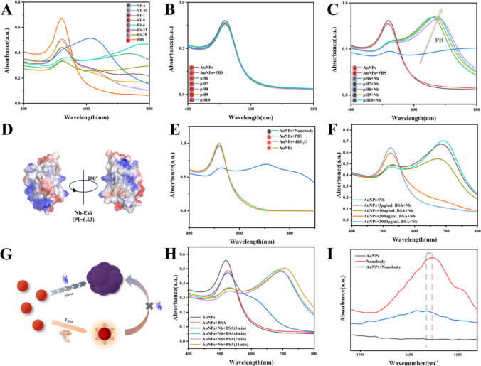 納米體誘導(dǎo)AuNPs聚集的原理分析 納米體誘導(dǎo)AuNPs聚集的原理分析