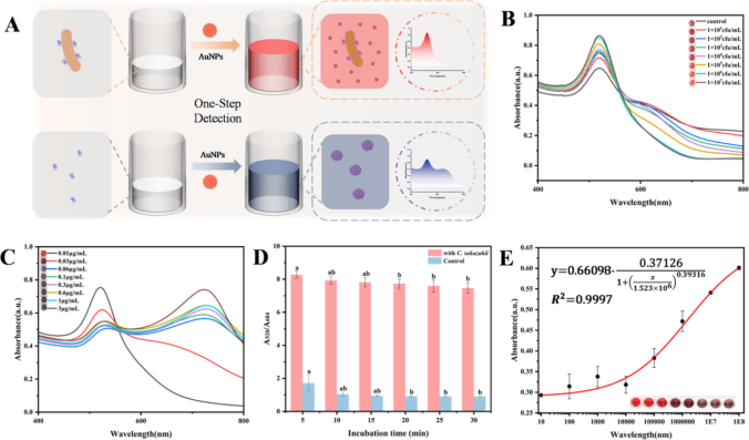 “混合-讀取”比色免疫傳感器檢測性能評價 “混合-讀取”比色免疫傳感器檢測性能評價