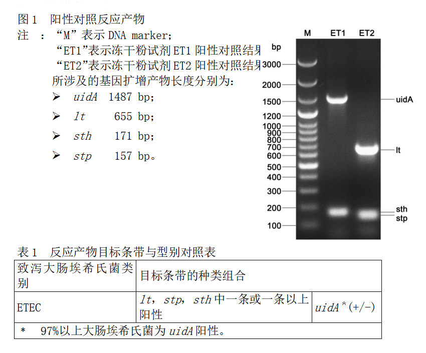 ETEC多重PCR檢測試劑盒結(jié)果判讀 ETEC多重PCR檢測試劑盒結(jié)果判讀