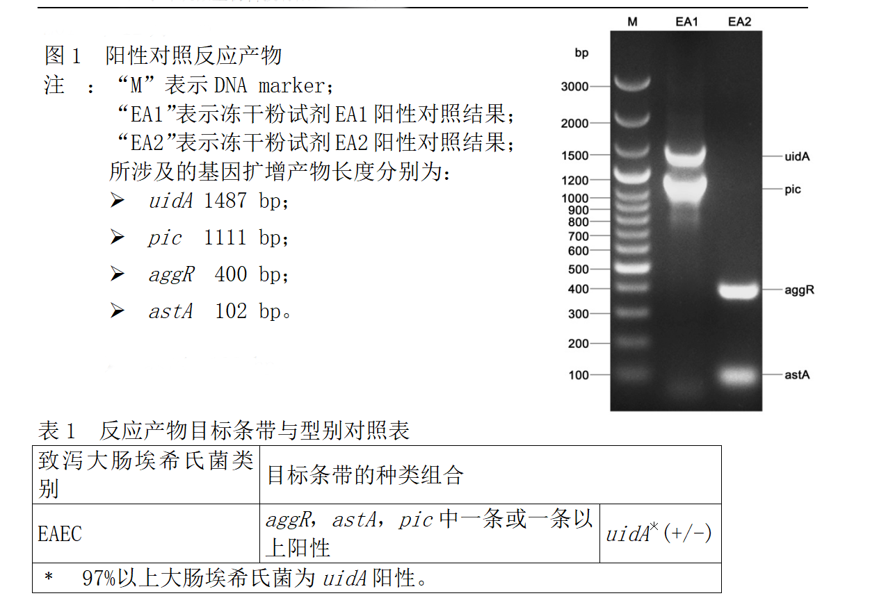 EAEC多重PCR檢測試劑盒判讀結(jié)果 EAEC多重PCR檢測試劑盒判讀結(jié)果