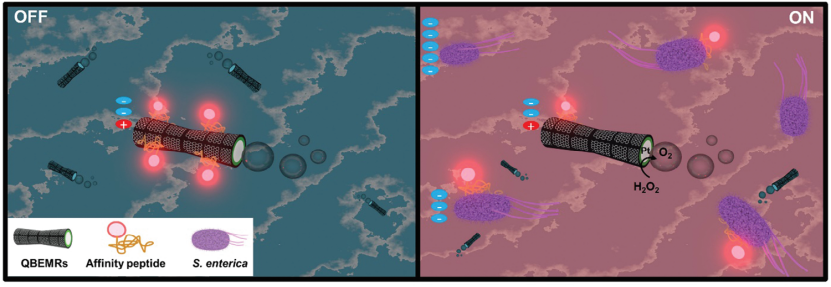 熒光檢測示意圖