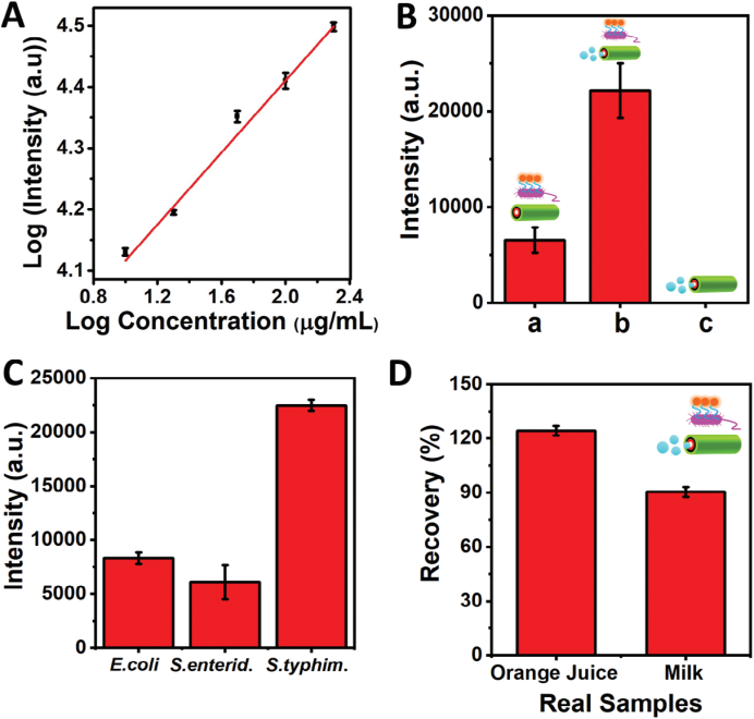圖2. QBEMRs活性生物載體測定腸球菌內(nèi)毒素。A)運動狀態(tài)下分析物[內(nèi)毒素]濃度的對數(shù)（log）值與對數(shù)[熒光強度]之間的校準圖。B)顯示在運動（9% H2O2）或靜態(tài)（無燃料）條件下，peptide@QBEMRs對固定濃度的腸鏈球菌內(nèi)毒素（50 μg mL?1）的熒光強度恢復。C) peptide@QBEMRs生物載體對不同靶點（即大腸桿菌、腸炎沙門氏菌和鼠傷寒沙門氏菌）的熒光強度恢復直方圖：（50 μg mL?1）（9% H2O2）。D)顯示了在添加15 μg mL?1內(nèi)毒素的各種實際樣品（橙汁、牛奶）中通過peptide@QBEMRs獲得的回收率