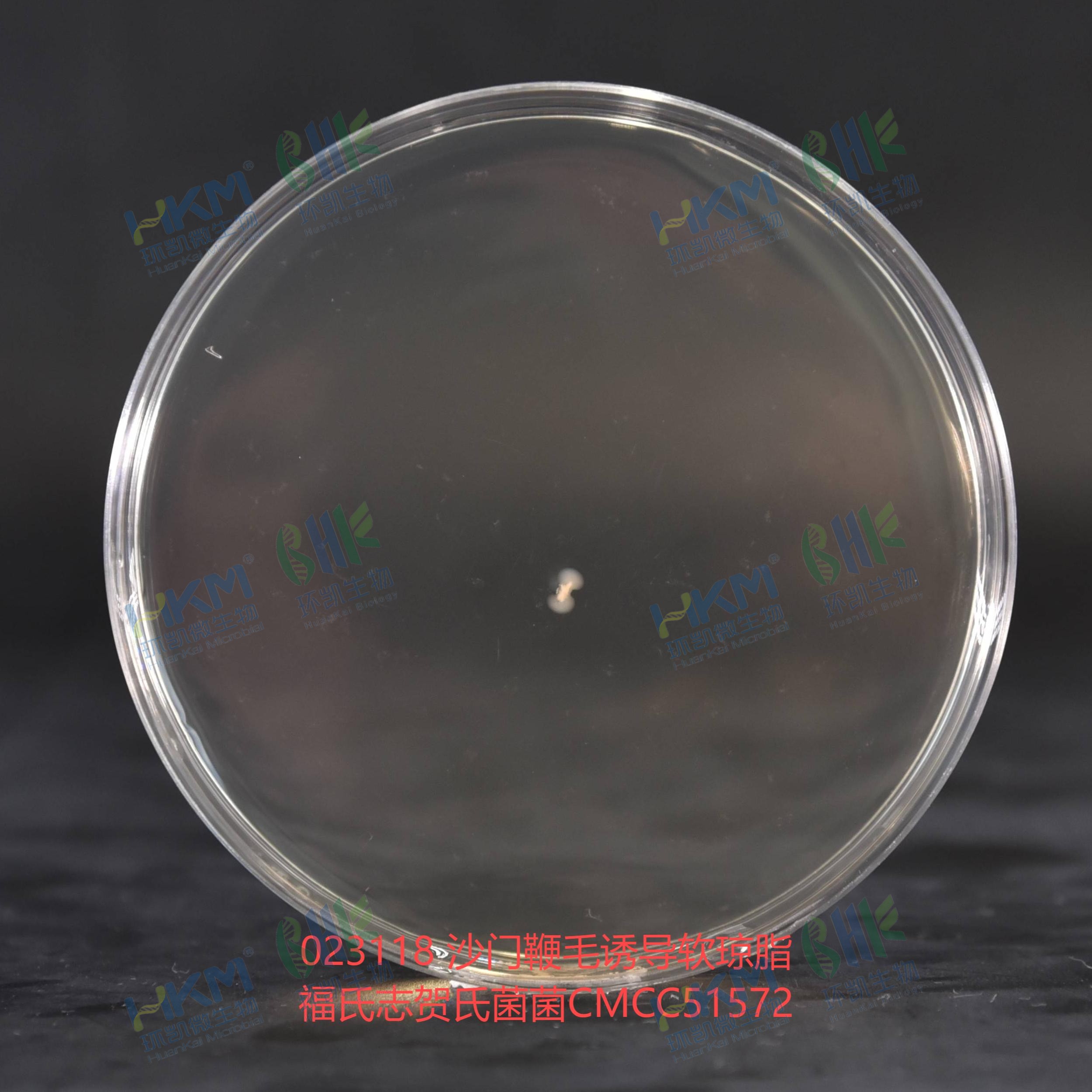 福氏志賀氏菌菌CMCC51572 福氏志賀氏菌菌CMCC51572
