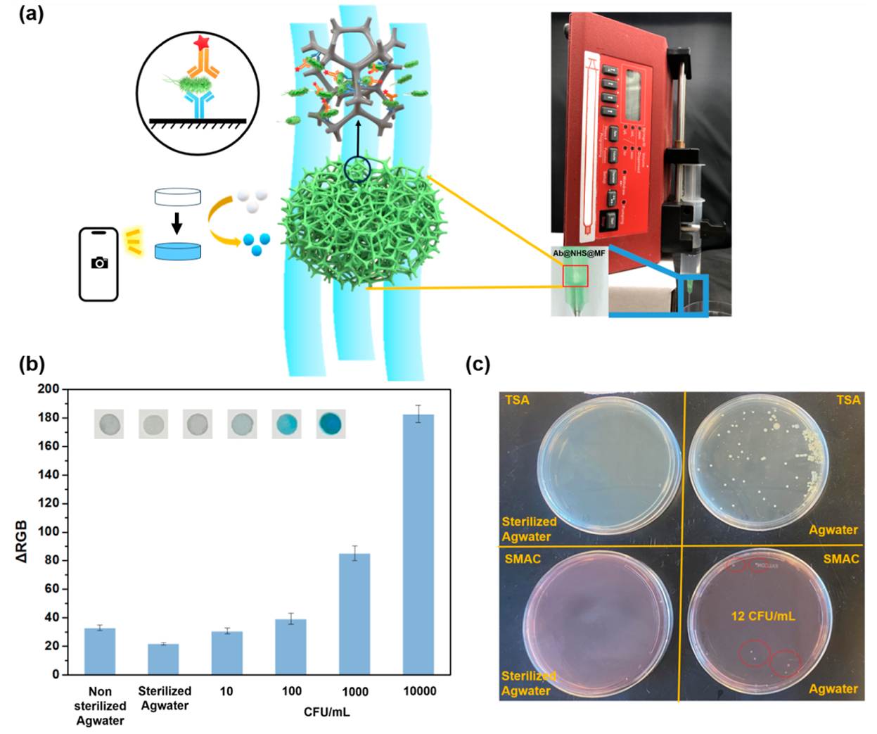(a)該示意圖展示了在農(nóng)業(yè)用水中檢測大腸桿菌O157:H7的過程，照片展示了由注射泵操作的快速流動裝置