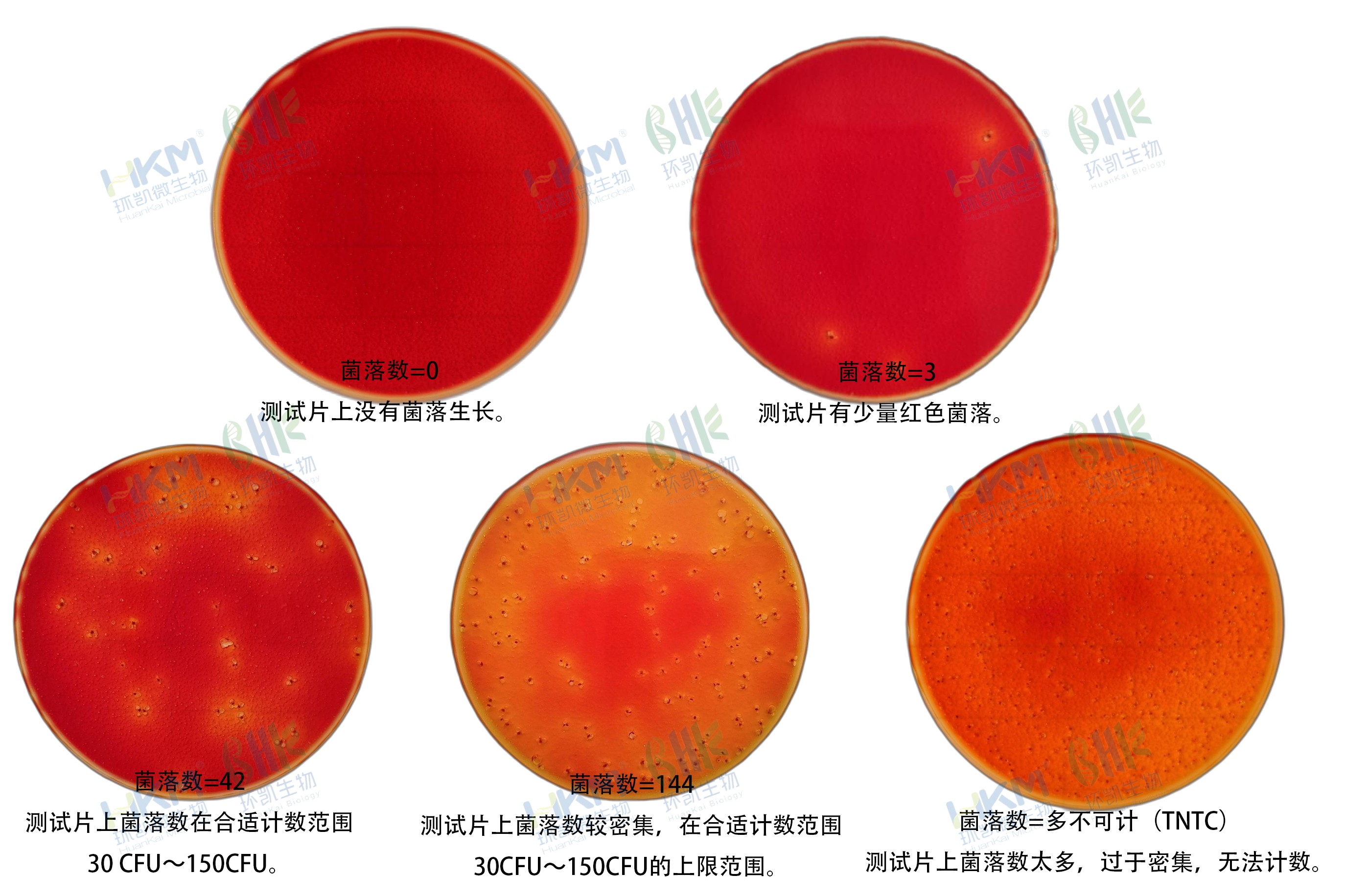 HandyPlate®大腸菌群測(cè)試片判讀手冊(cè) HandyPlate®大腸菌群測(cè)試片判讀手冊(cè)